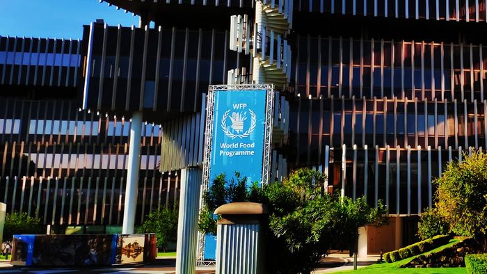 UN Food Agency Breach Exposes Data of 600,000 Gaza Households